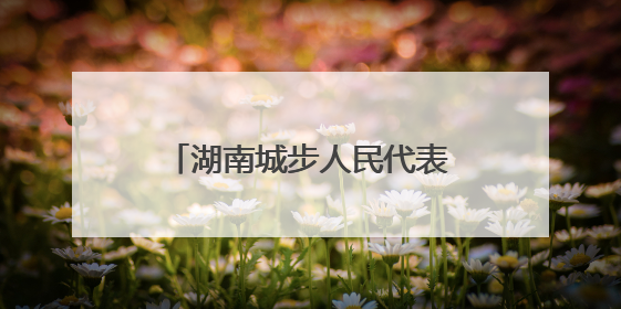 湖南城步人民代表大会制度研学基地成民众学习驿站