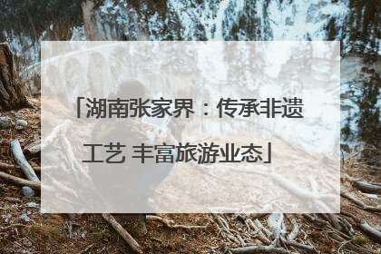 湖南张家界：传承非遗工艺 丰富旅游业态