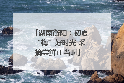 湖南衡阳：初夏“梅”好时光 采摘尝鲜正当时