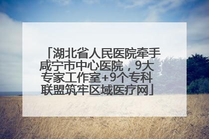 湖北省人民医院牵手咸宁市中心医院，9大专家工作室+9个专科联盟筑牢区域医疗网