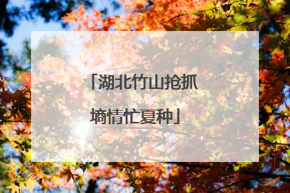 湖北竹山抢抓墒情忙夏种