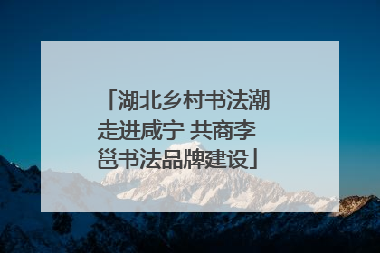 湖北乡村书法潮走进咸宁 共商李邕书法品牌建设