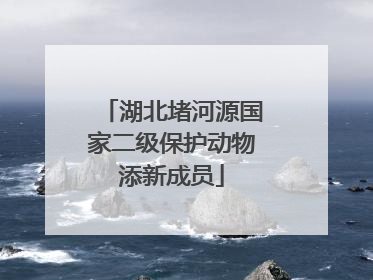 湖北堵河源国家二级保护动物添新成员