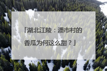 湖北江陵：潘市村的香瓜为何这么甜？