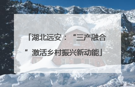 湖北远安：“三产融合”激活乡村振兴新动能