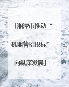 湘潭市推动“机器管招投标”向纵深发展