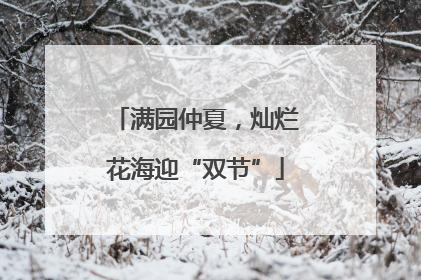 满园仲夏，灿烂花海迎“双节”
