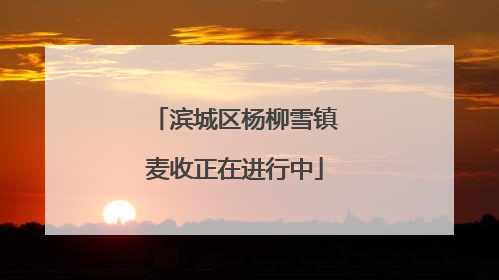 滨城区杨柳雪镇麦收正在进行中