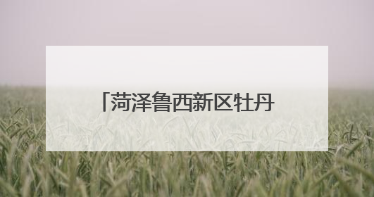 菏泽鲁西新区牡丹文创亮相第二十一届中国（深圳）国际文化产业博览交易会