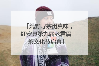 荒野寻茶觅真味，红安县第九届老君眉茶文化节启幕