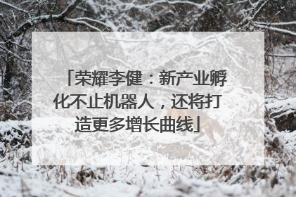 荣耀李健：新产业孵化不止机器人，还将打造更多增长曲线