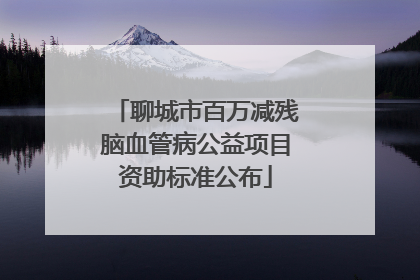 聊城市百万减残脑血管病公益项目资助标准公布