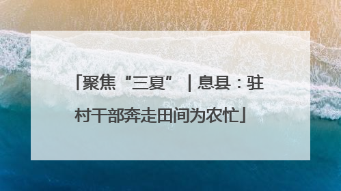 聚焦“三夏”｜息县：驻村干部奔走田间为农忙