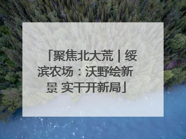 聚焦北大荒｜绥滨农场：沃野绘新景 实干开新局