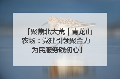 聚焦北大荒｜青龙山农场：党建引领聚合力 为民服务践初心