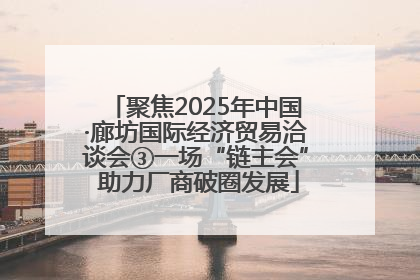 聚焦2025年中国·廊坊国际经济贸易洽谈会③一场“链主会” 助力厂商破圈发展