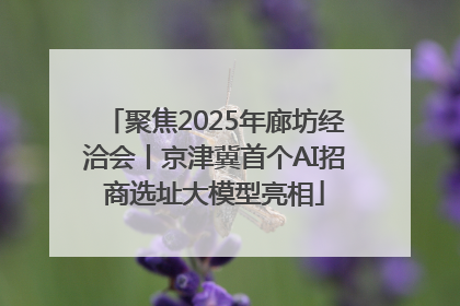 聚焦2025年廊坊经洽会丨京津冀首个AI招商选址大模型亮相