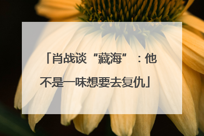 肖战谈“藏海”：他不是一味想要去复仇