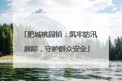 肥城桃园镇：筑牢防汛屏障，守护群众安全