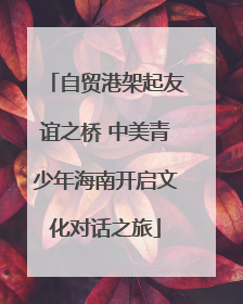 自贸港架起友谊之桥 中美青少年海南开启文化对话之旅