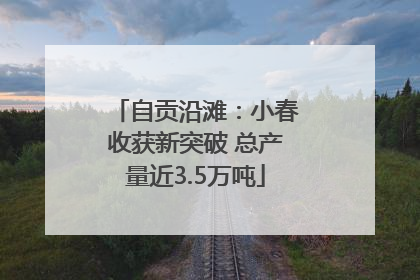 自贡沿滩：小春收获新突破 总产量近3.5万吨