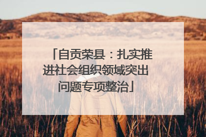 自贡荣县：扎实推进社会组织领域突出问题专项整治