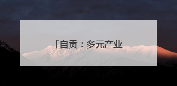 自贡：多元产业“闪耀”西博会