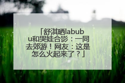 舒淇晒labubu和哭娃合影：一同去郊游！网友：这是怎么火起来了？