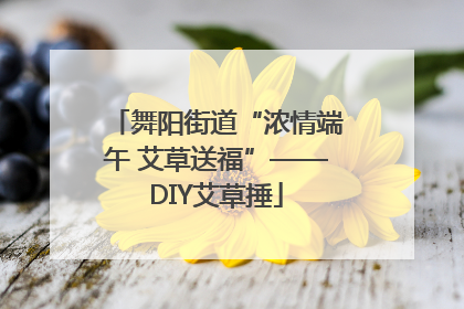 舞阳街道“浓情端午 艾草送福”——DIY艾草捶