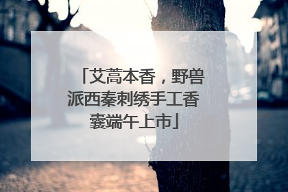 艾蒿本香，野兽派西秦刺绣手工香囊端午上市
