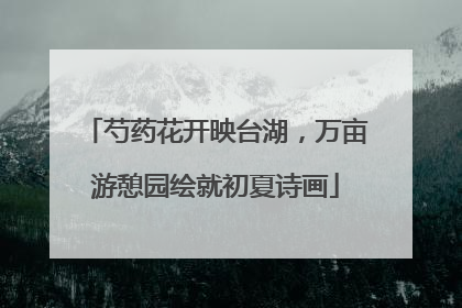 芍药花开映台湖，万亩游憩园绘就初夏诗画
