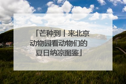 芒种到丨来北京动物园看动物们的夏日纳凉图鉴
