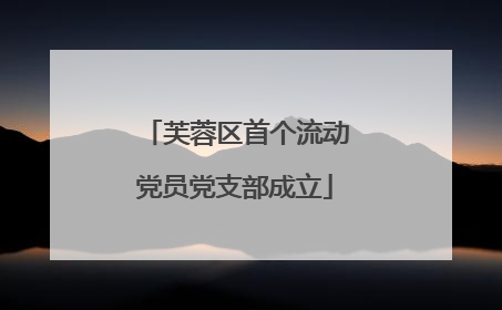 芙蓉区首个流动党员党支部成立