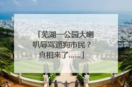 芜湖一公园大喇叭辱骂遛狗市民？真相来了……