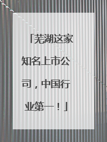 芜湖这家知名上市公司，中国行业第一！