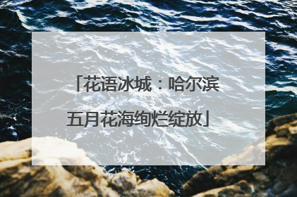 花语冰城：哈尔滨五月花海绚烂绽放