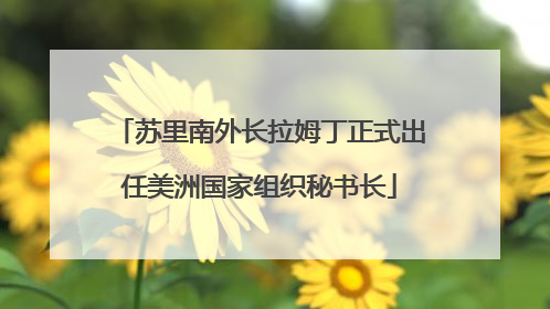 苏里南外长拉姆丁正式出任美洲国家组织秘书长