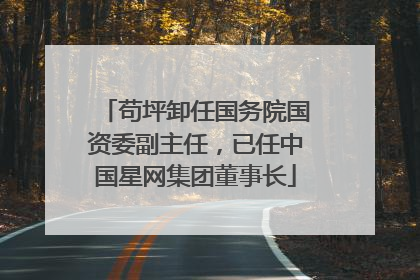 苟坪卸任国务院国资委副主任，已任中国星网集团董事长