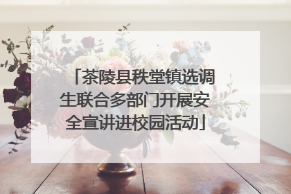 茶陵县秩堂镇选调生联合多部门开展安全宣讲进校园活动