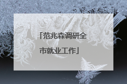 范兆森调研全市就业工作