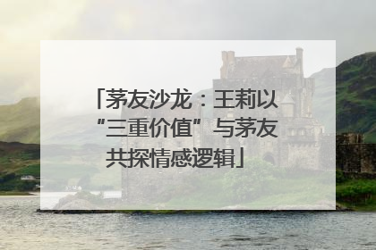 茅友沙龙：王莉以“三重价值”与茅友共探情感逻辑