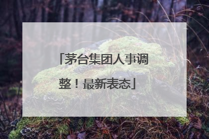 茅台集团人事调整！最新表态