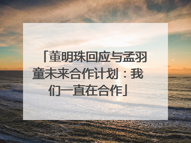 董明珠回应与孟羽童未来合作计划：我们一直在合作