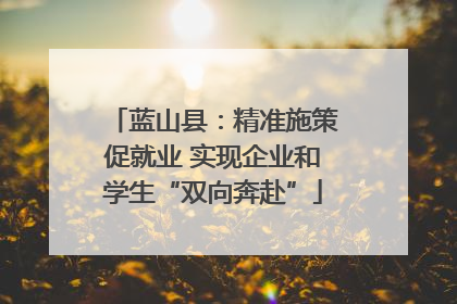 蓝山县：精准施策促就业 实现企业和学生“双向奔赴”
