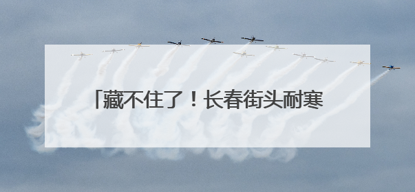 藏不住了！长春街头耐寒月季集体“C位出道”