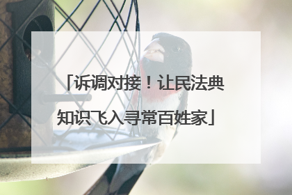 诉调对接！让民法典知识飞入寻常百姓家