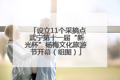 设立11个采摘点 武宁第十一届“新光杯”杨梅文化旅游节开幕（组图）
