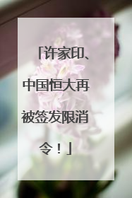 许家印、中国恒大再被签发限消令！