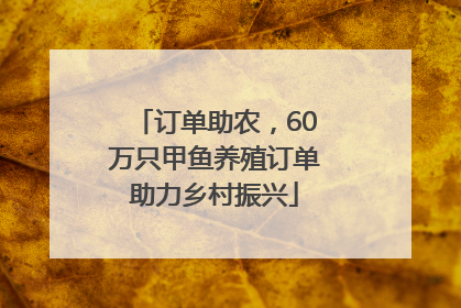 订单助农，60万只甲鱼养殖订单助力乡村振兴
