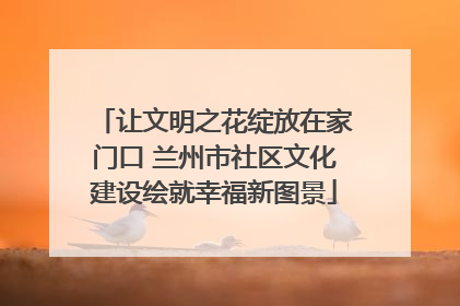 让文明之花绽放在家门口 兰州市社区文化建设绘就幸福新图景